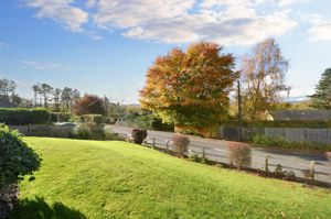 Front garden- click for photo gallery